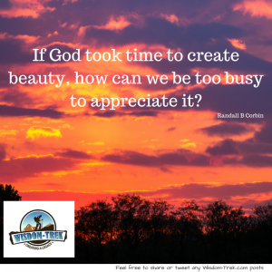If God took time to create beauty, how can we be too busy to appreciate it-       